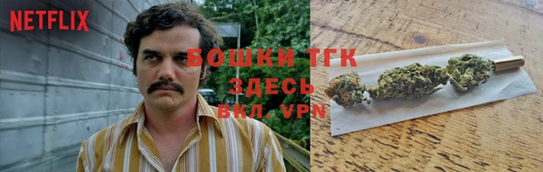стафф Армянск